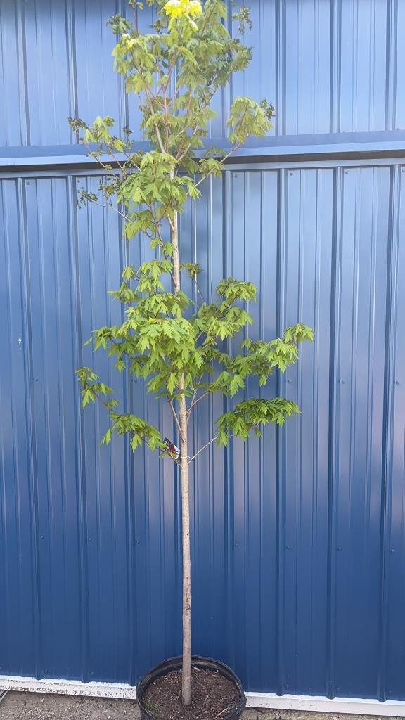 Property photo 6 - TIMED ONLINE ONLY PERSONAL PROPERTY AUCTION IN ALLEN COUNTY, INDIANA
