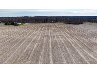 Property photo 14 - FARMLAND AUCTION - 81+/-ACRES OFFERED IN 5 TRACTS IN BRANCH COUNTY, MICHIGAN