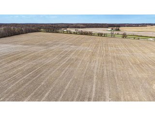 Property photo 18 - FARMLAND AUCTION - 81+/-ACRES OFFERED IN 5 TRACTS IN BRANCH COUNTY, MICHIGAN