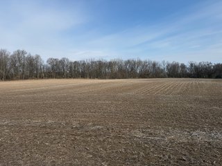 Property photo 22 - FARMLAND AUCTION - 81+/-ACRES OFFERED IN 5 TRACTS IN BRANCH COUNTY, MICHIGAN