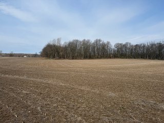 Property photo 23 - FARMLAND AUCTION - 81+/-ACRES OFFERED IN 5 TRACTS IN BRANCH COUNTY, MICHIGAN
