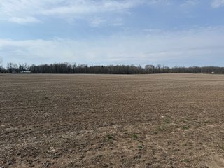 Property photo 24 - FARMLAND AUCTION - 81+/-ACRES OFFERED IN 5 TRACTS IN BRANCH COUNTY, MICHIGAN