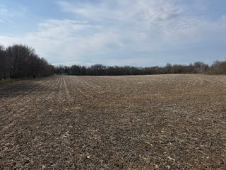 Property photo 26 - FARMLAND AUCTION - 81+/-ACRES OFFERED IN 5 TRACTS IN BRANCH COUNTY, MICHIGAN