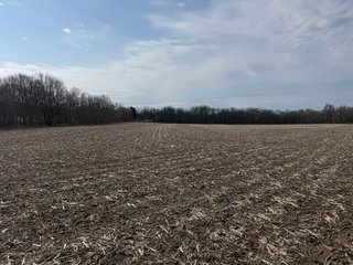 Property photo 28 - FARMLAND AUCTION - 81+/-ACRES OFFERED IN 5 TRACTS IN BRANCH COUNTY, MICHIGAN