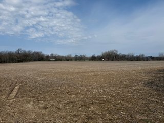 Property photo 29 - FARMLAND AUCTION - 81+/-ACRES OFFERED IN 5 TRACTS IN BRANCH COUNTY, MICHIGAN