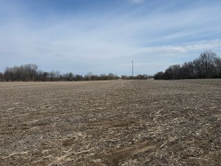 Property photo 30 - FARMLAND AUCTION - 81+/-ACRES OFFERED IN 5 TRACTS IN BRANCH COUNTY, MICHIGAN