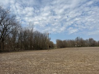 Property photo 31 - FARMLAND AUCTION - 81+/-ACRES OFFERED IN 5 TRACTS IN BRANCH COUNTY, MICHIGAN