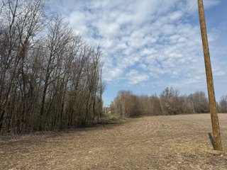 Property photo 32 - FARMLAND AUCTION - 81+/-ACRES OFFERED IN 5 TRACTS IN BRANCH COUNTY, MICHIGAN