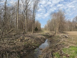 Property photo 33 - FARMLAND AUCTION - 81+/-ACRES OFFERED IN 5 TRACTS IN BRANCH COUNTY, MICHIGAN