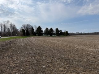 Property photo 37 - FARMLAND AUCTION - 81+/-ACRES OFFERED IN 5 TRACTS IN BRANCH COUNTY, MICHIGAN