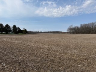 Property photo 38 - FARMLAND AUCTION - 81+/-ACRES OFFERED IN 5 TRACTS IN BRANCH COUNTY, MICHIGAN