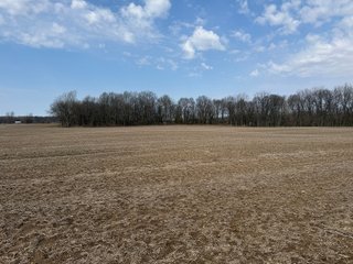 Property photo 42 - FARMLAND AUCTION - 81+/-ACRES OFFERED IN 5 TRACTS IN BRANCH COUNTY, MICHIGAN