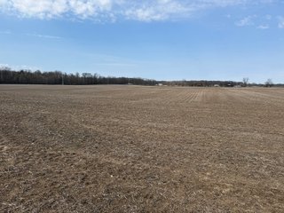 Property photo 44 - FARMLAND AUCTION - 81+/-ACRES OFFERED IN 5 TRACTS IN BRANCH COUNTY, MICHIGAN