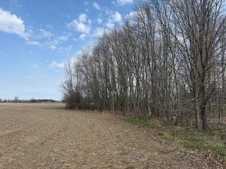 Property photo 46 - FARMLAND AUCTION - 81+/-ACRES OFFERED IN 5 TRACTS IN BRANCH COUNTY, MICHIGAN