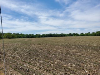 Property photo 77 - LAND AUCTION - 81.55+/-ACRES OFFERED IN 2 TRACTS IN NOBLE COUNTY, INDIANA