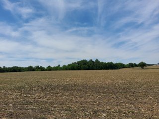 Property photo 76 - LAND AUCTION - 81.55+/-ACRES OFFERED IN 2 TRACTS IN NOBLE COUNTY, INDIANA
