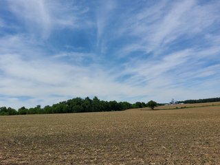 Property photo 75 - LAND AUCTION - 81.55+/-ACRES OFFERED IN 2 TRACTS IN NOBLE COUNTY, INDIANA