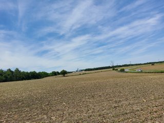 Property photo 74 - LAND AUCTION - 81.55+/-ACRES OFFERED IN 2 TRACTS IN NOBLE COUNTY, INDIANA
