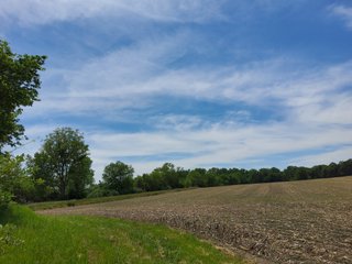 Property photo 73 - LAND AUCTION - 81.55+/-ACRES OFFERED IN 2 TRACTS IN NOBLE COUNTY, INDIANA