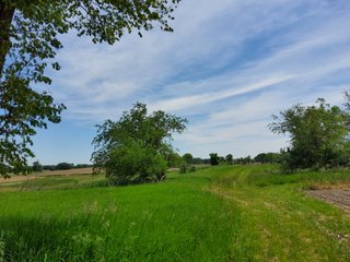 Property photo 71 - LAND AUCTION - 81.55+/-ACRES OFFERED IN 2 TRACTS IN NOBLE COUNTY, INDIANA