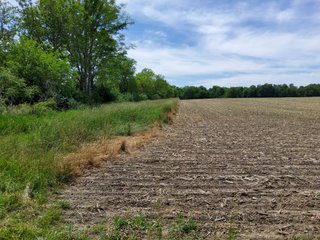 Property photo 70 - LAND AUCTION - 81.55+/-ACRES OFFERED IN 2 TRACTS IN NOBLE COUNTY, INDIANA