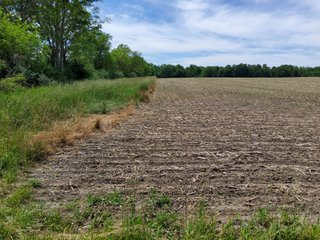 Property photo 69 - LAND AUCTION - 81.55+/-ACRES OFFERED IN 2 TRACTS IN NOBLE COUNTY, INDIANA