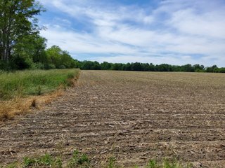 Property photo 68 - LAND AUCTION - 81.55+/-ACRES OFFERED IN 2 TRACTS IN NOBLE COUNTY, INDIANA