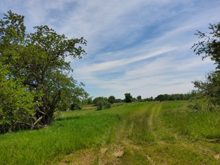 Property photo 67 - LAND AUCTION - 81.55+/-ACRES OFFERED IN 2 TRACTS IN NOBLE COUNTY, INDIANA