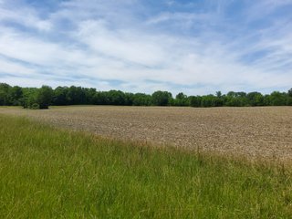 Property photo 65 - LAND AUCTION - 81.55+/-ACRES OFFERED IN 2 TRACTS IN NOBLE COUNTY, INDIANA