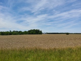 Property photo 64 - LAND AUCTION - 81.55+/-ACRES OFFERED IN 2 TRACTS IN NOBLE COUNTY, INDIANA