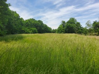 Property photo 62 - LAND AUCTION - 81.55+/-ACRES OFFERED IN 2 TRACTS IN NOBLE COUNTY, INDIANA