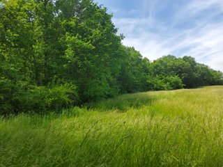 Property photo 61 - LAND AUCTION - 81.55+/-ACRES OFFERED IN 2 TRACTS IN NOBLE COUNTY, INDIANA