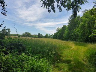 Property photo 60 - LAND AUCTION - 81.55+/-ACRES OFFERED IN 2 TRACTS IN NOBLE COUNTY, INDIANA