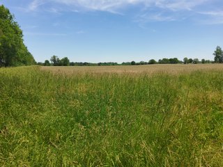 Property photo 59 - LAND AUCTION - 81.55+/-ACRES OFFERED IN 2 TRACTS IN NOBLE COUNTY, INDIANA