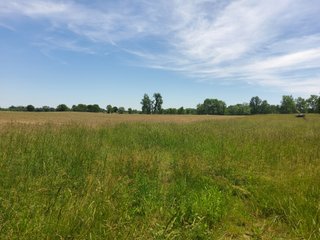 Property photo 58 - LAND AUCTION - 81.55+/-ACRES OFFERED IN 2 TRACTS IN NOBLE COUNTY, INDIANA