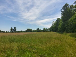 Property photo 57 - LAND AUCTION - 81.55+/-ACRES OFFERED IN 2 TRACTS IN NOBLE COUNTY, INDIANA