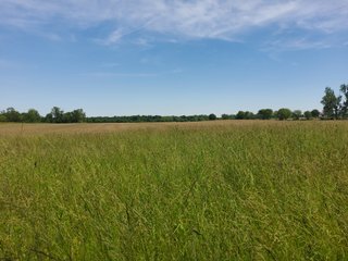 Property photo 56 - LAND AUCTION - 81.55+/-ACRES OFFERED IN 2 TRACTS IN NOBLE COUNTY, INDIANA
