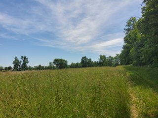 Property photo 55 - LAND AUCTION - 81.55+/-ACRES OFFERED IN 2 TRACTS IN NOBLE COUNTY, INDIANA