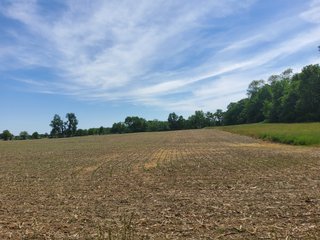 Property photo 46 - LAND AUCTION - 81.55+/-ACRES OFFERED IN 2 TRACTS IN NOBLE COUNTY, INDIANA