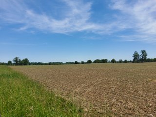 Property photo 45 - LAND AUCTION - 81.55+/-ACRES OFFERED IN 2 TRACTS IN NOBLE COUNTY, INDIANA