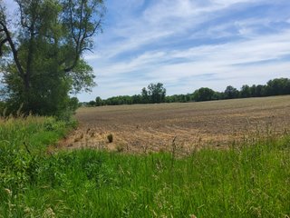 Property photo 44 - LAND AUCTION - 81.55+/-ACRES OFFERED IN 2 TRACTS IN NOBLE COUNTY, INDIANA
