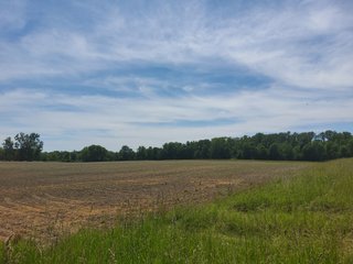 Property photo 43 - LAND AUCTION - 81.55+/-ACRES OFFERED IN 2 TRACTS IN NOBLE COUNTY, INDIANA