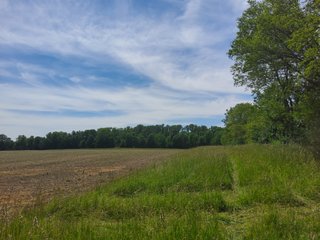 Property photo 42 - LAND AUCTION - 81.55+/-ACRES OFFERED IN 2 TRACTS IN NOBLE COUNTY, INDIANA