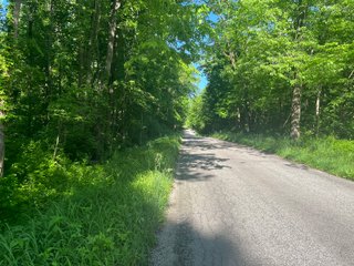 Property photo 29 - LAND AUCTION - 81.55+/-ACRES OFFERED IN 2 TRACTS IN NOBLE COUNTY, INDIANA