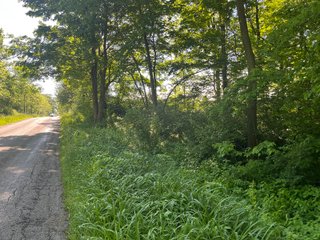 Property photo 31 - LAND AUCTION - 81.55+/-ACRES OFFERED IN 2 TRACTS IN NOBLE COUNTY, INDIANA