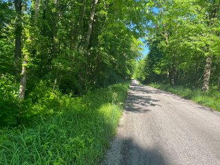 Property photo 32 - LAND AUCTION - 81.55+/-ACRES OFFERED IN 2 TRACTS IN NOBLE COUNTY, INDIANA