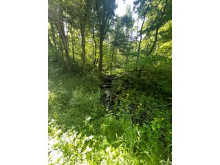 Property photo 36 - LAND AUCTION - 81.55+/-ACRES OFFERED IN 2 TRACTS IN NOBLE COUNTY, INDIANA