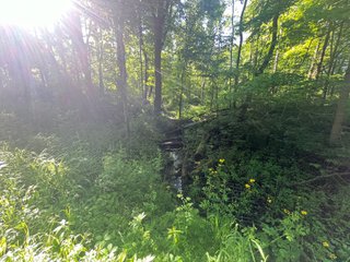 Property photo 37 - LAND AUCTION - 81.55+/-ACRES OFFERED IN 2 TRACTS IN NOBLE COUNTY, INDIANA