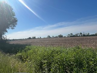 Property photo 3 - LAND AUCTION - 81.55+/-ACRES OFFERED IN 2 TRACTS IN NOBLE COUNTY, INDIANA