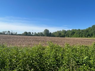 Property photo 4 - LAND AUCTION - 81.55+/-ACRES OFFERED IN 2 TRACTS IN NOBLE COUNTY, INDIANA